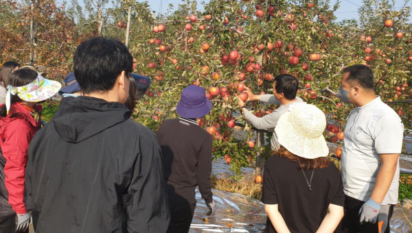 가을철 농촌 일손 돕기 프로그램 운영 사진