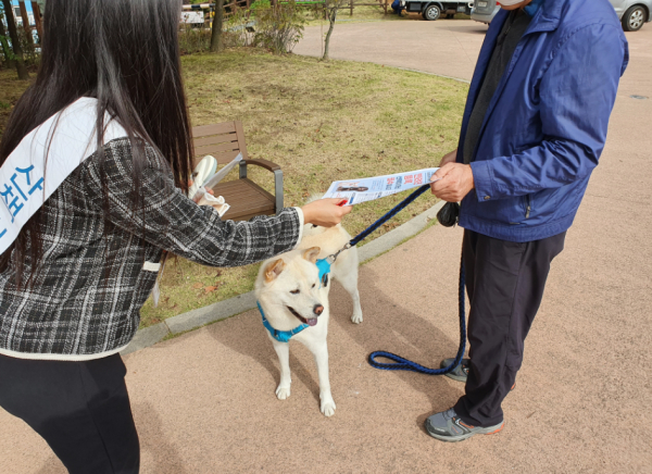 반려동물 에티켓 홍보 사진