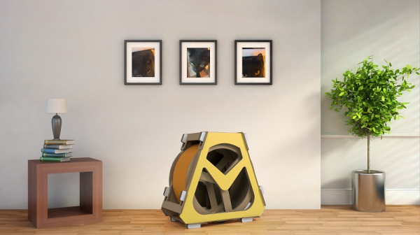 KAIST 이금진 학생이 개발한 고양이의 엽기 사진을 찍어주는 '인생냥컷'