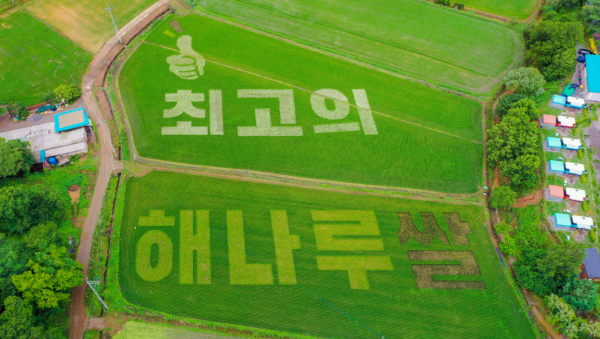 해나루쌀 홍보 논 그림