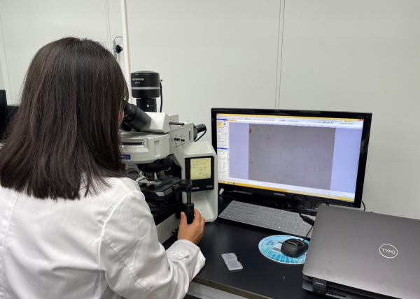 현미경검경 모습