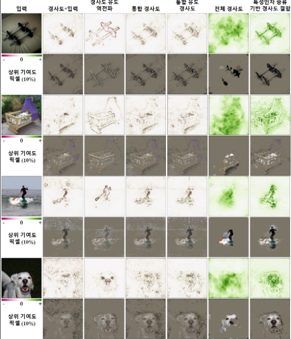 그림 3. 이미지 분류문제인 이미지넷(ImageNet) 데이터에 대해 학습된 VGG-16 모델의 입력 기여도를 측정 및 시각화한 결과 비교.