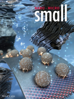 ‘Small’ 표지논문 게재