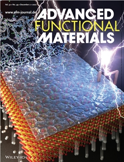 Advanced Functional Materials 저널 앞표지