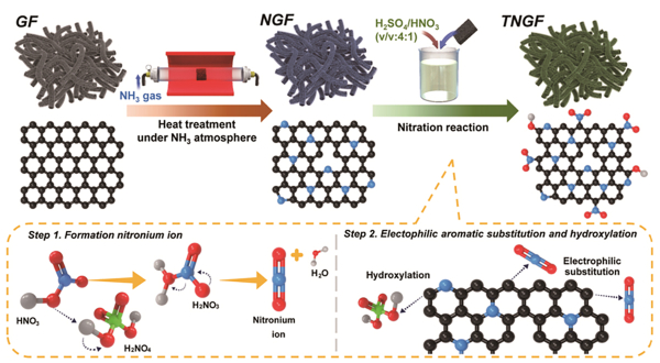 특정 질소 관능기 부착 전극 촉매 소재 합성 모식도