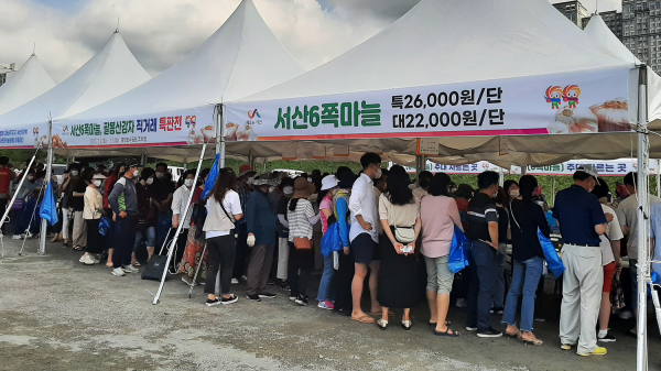 7월 2일 호수공원 직거래 특판전 모습