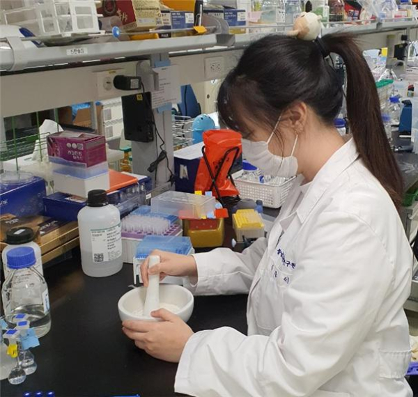 식품, 의약품의 위해 항목에 대한 분석 모습