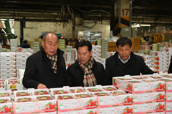 서울가락시장 도매시장 유통현장 방문
