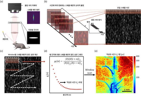 롤링 셔터 카메라를 사용한 혈류 속도 측정 원리