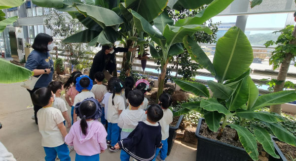 자연학습식물원 견학 사진