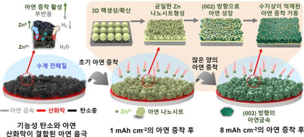 개발된 기능성 탄소 호스트와 친수성 아연 산화막으로 구성된 이중 계면 호스트의 아연금속 증착 메커니즘