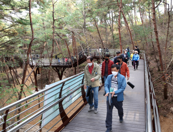 2022년 태안군 한해 성과 (백화산 트리워크)