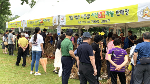 지난 2019년 서산6쪽마늘축제 사진