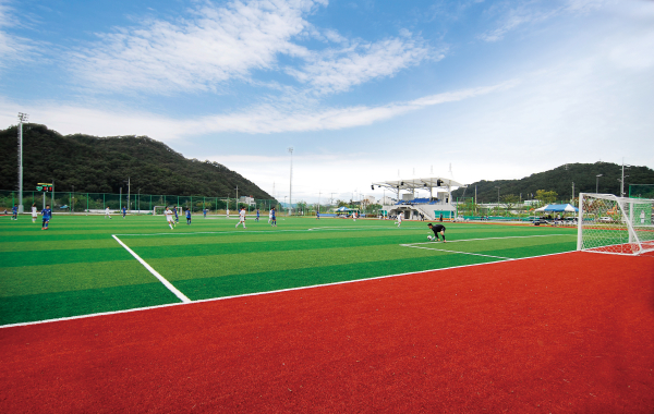 안영생활체육시설단지 축구장 전경