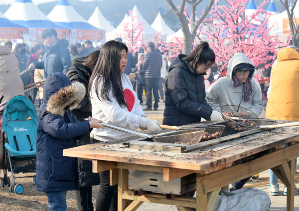 겨울공주 군밤축제 자료사진