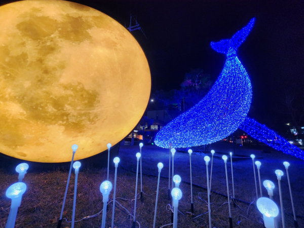 야간경관조명 사진