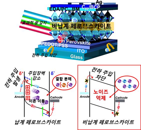 주석 기반 비납계 페로브스카이트 포토디텍터 구조 모식도 및 주석 성분에 의한 노이즈 억제 효과 설명도.