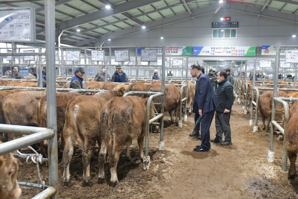 최원철 공주시장 가축시장 방문 모습