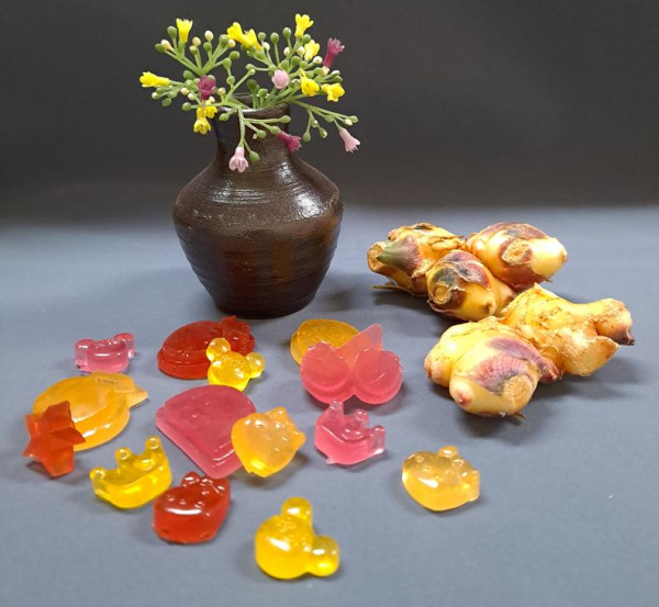 생강구미형 젤리