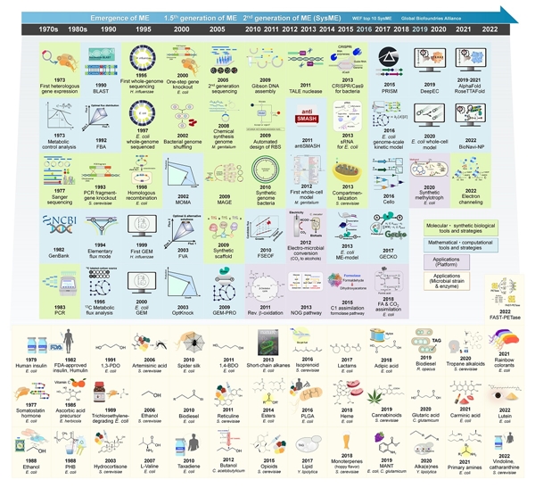 대사공학의 주요 발전에 대한 타임라인