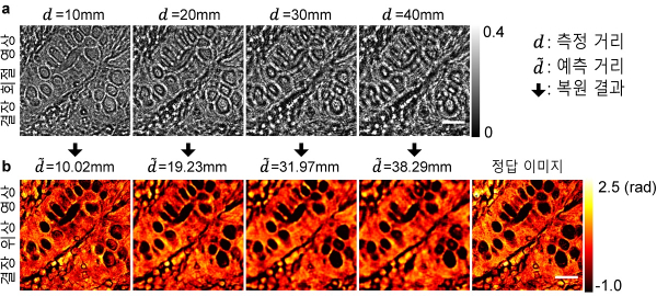 결장 조직 이미지 복원 결과