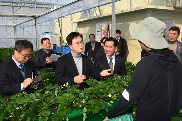 청년농업인 임대농장 현장을 방문한 김태흠 지사, 박정현 부여군수