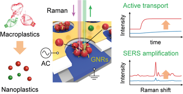 전기-광 집게 현상 및 표면증강라만현상을 이용한 나노플라스틱 라만 광검지 메커니즘과 이에 따른 축적시간 감소 및 광신호 증폭 모식도.