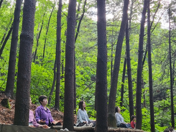 사회서비스 시설 종사자를 위한 2023년 힐링 프로그램이 운영된다. 2022년 기준총 26회, 635명이 참여해 높은 만족도를 나타냈다.