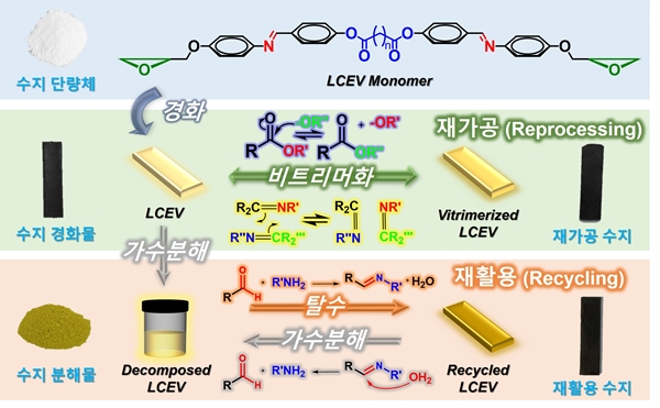 재가공 및 재활용이 가능한 기능성 에폭시 비트리머 수지 디자인