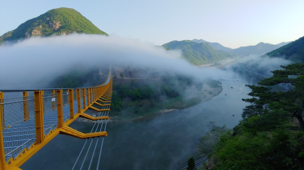금산 월영산 출렁다리