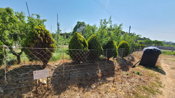 지난해 야생동물 피해예방시설 사업을 통해 설치한 울타리 모습