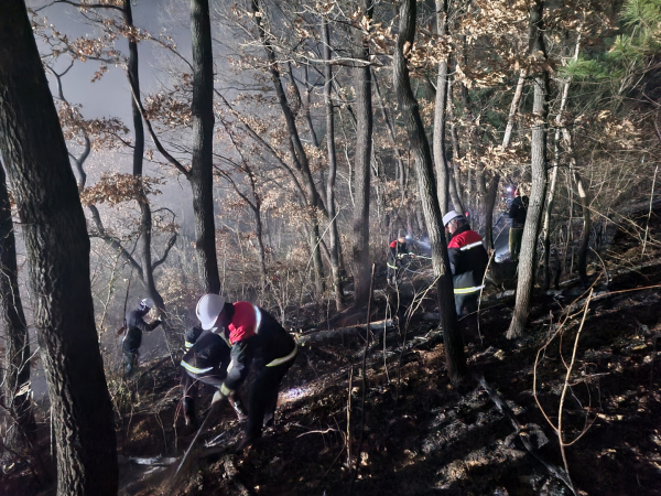 산불진화대가 잔불정리를 하고 있다.