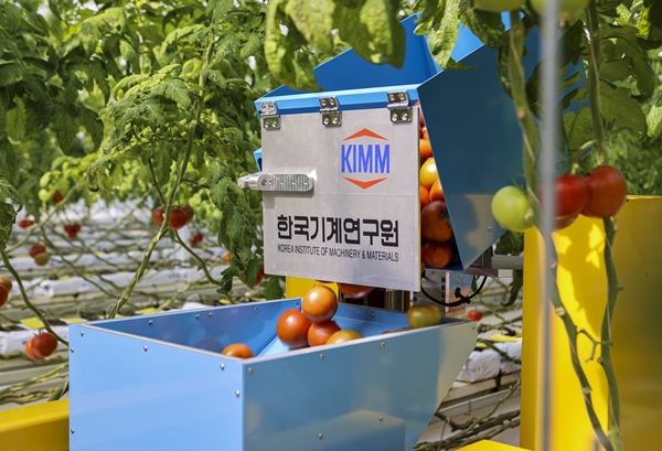 기계연이 개발한 수확 로봇이 수확한 작물을 운반 로봇에 옮기는 모습