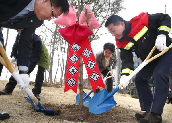 도안동 아름드리 소공원에서 녹색도시 비전을 선포식 개최 (기념 식수 모습)