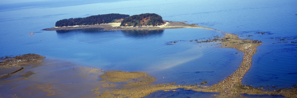 무창포 신비의 바닷길 사진