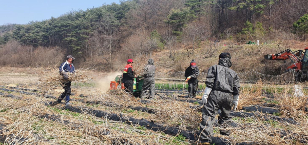 청양군, 산불위험 논․밭두렁 소각 자제 당부-영농부산물 파쇄