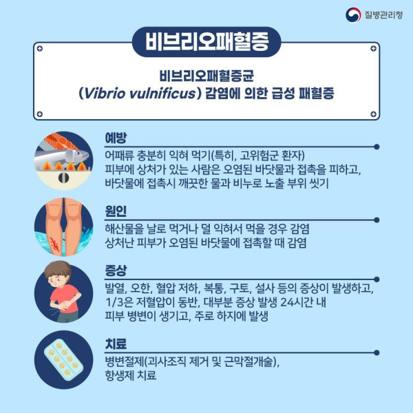 비브리오패혈증 예방 홍보물