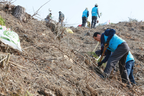 현대제철 임직원들이 제 78회 식목일 기념 식재 동참 모습