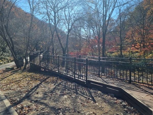 금산산림문화타운 무장애나눔길