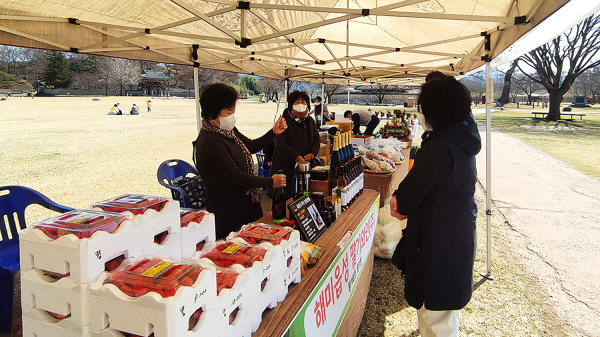 지난해 서산해미읍성에서 열린 농특산물 정례 직거래 장터 모습