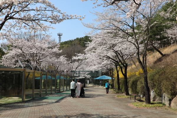 오월드 원내 풍경 모습