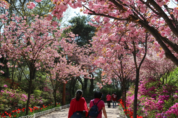 오월드 원내 풍경