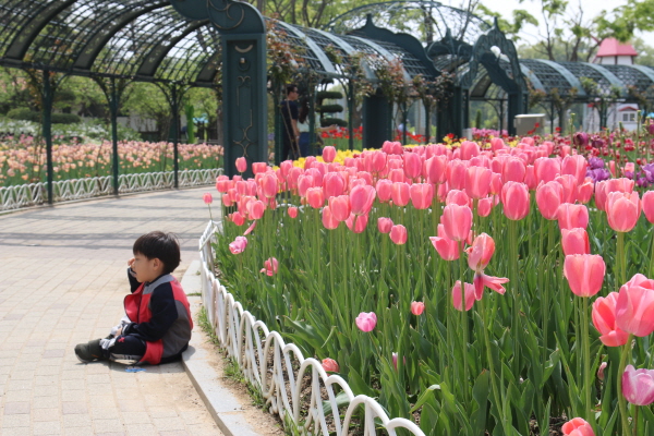 오월드 원내 풍경