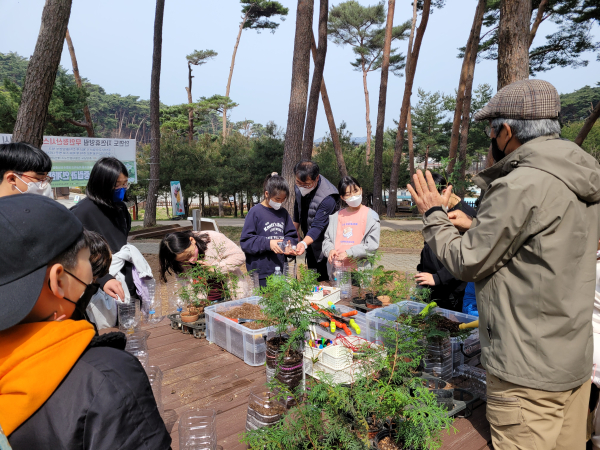 지난해 안면도자연휴양림 식목일 행사 모습