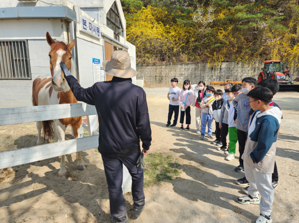 말타기 안전교육 모습