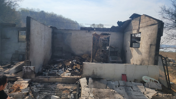 산불 피해 민가 모습