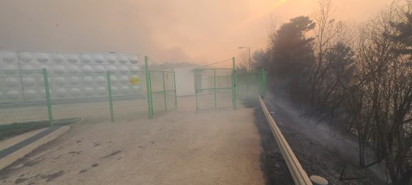 홍성군 서부배수지 까지 들이닥친 산불