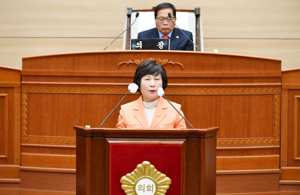 최은순 보령시의원