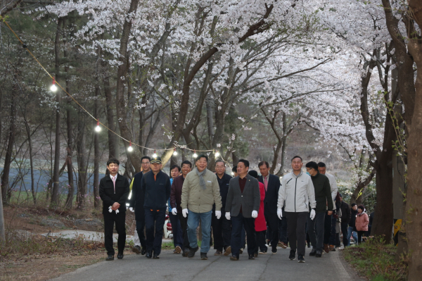 가재산 벚꽃축제 모습