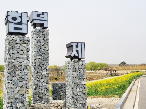 합덕제 유채꽃밭